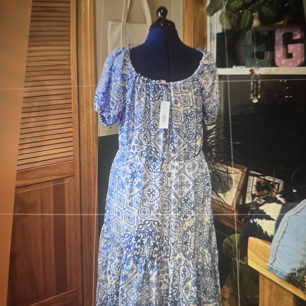 Blue and White Printed Puff-Sleeve Maxi Dress - Picture 2 of 8
